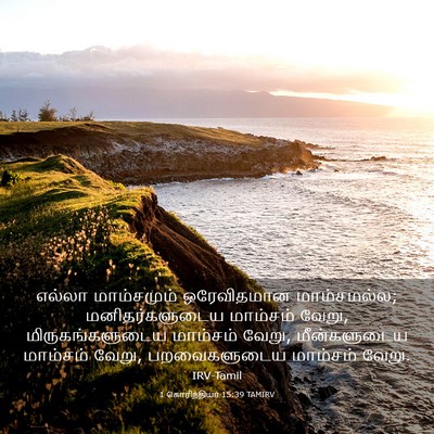 Picture 03 - 1 கொரிந்தியர் 15:39 TAMIRV - எல்லா மாம்சமும் - Bible Verse Picture