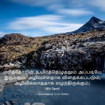 Picture 03 - 1 கொரிந்தியர் 15:42 TAMIRV - மரித்தோரின் - Bible Verse Picture