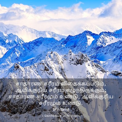 Picture 03 - 1 கொரிந்தியர் 15:44 TAMIRV - சாதாரண சரீரம் - Bible Verse Picture