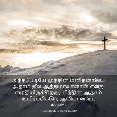 Picture 03 - 1 கொரிந்தியர் 15:45 TAMIRV - அந்தப்படியே - Bible Verse Picture