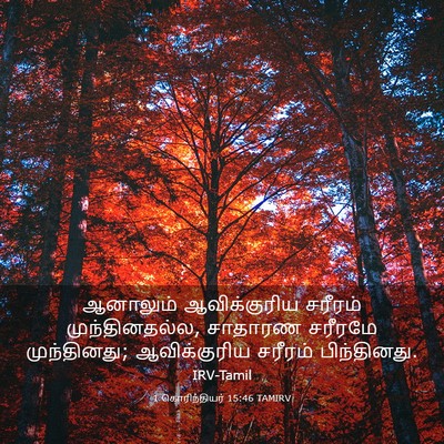 Picture 03 - 1 கொரிந்தியர் 15:46 TAMIRV - ஆனாலும் - Bible Verse Picture