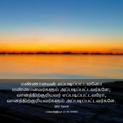 Picture 03 - 1 கொரிந்தியர் 15:48 TAMIRV - மண்ணானவன் - Bible Verse Picture