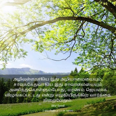 Picture 03 - 1 கொரிந்தியர் 15:54 TAMIRV - அழிவுள்ளதாகிய இது - Bible Verse Picture