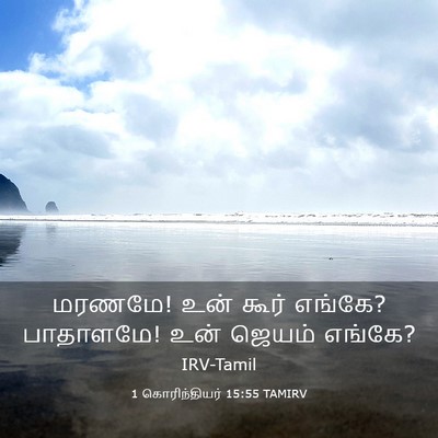 Picture 03 - 1 கொரிந்தியர் 15:55 TAMIRV - மரணமே! உன் கூர் - Bible Verse Picture