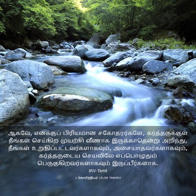 Picture 03 - 1 கொரிந்தியர் 15:58 TAMIRV - ஆகவே, எனக்குப் - Bible Verse Picture
