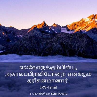 Picture 03 - 1 கொரிந்தியர் 15:8 TAMIRV -  - Bible Verse Picture