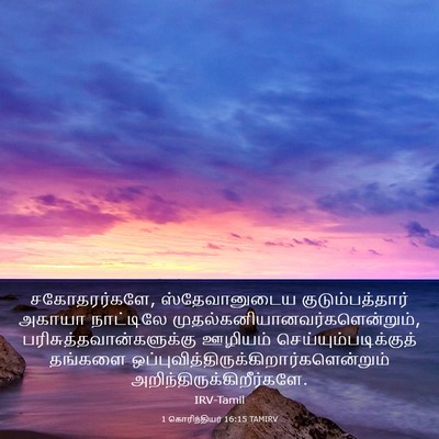 Picture 03 - 1 கொரிந்தியர் 16:15 TAMIRV - சகோதரர்களே, - Bible Verse Picture