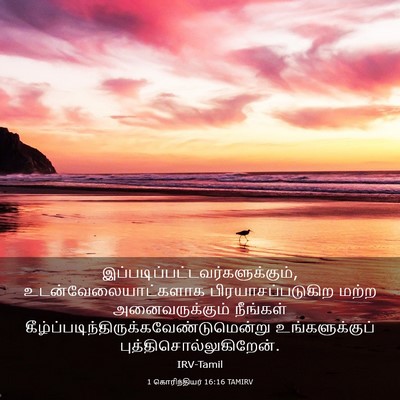 Picture 03 - 1 கொரிந்தியர் 16:16 TAMIRV -  - Bible Verse Picture