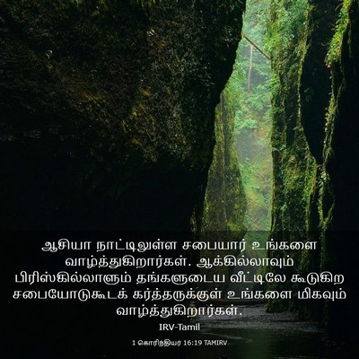 Picture 03 - 1 கொரிந்தியர் 16:19 TAMIRV - ஆசியா நாட்டிலுள்ள - Bible Verse Picture