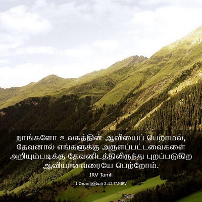 Picture 03 - 1 கொரிந்தியர் 2:12 TAMIRV - நாங்களோ உலகத்தின் - Bible Verse Picture