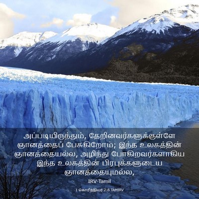 Picture 03 - 1 கொரிந்தியர் 2:6 TAMIRV - அப்படியிருந்தும், - Bible Verse Picture