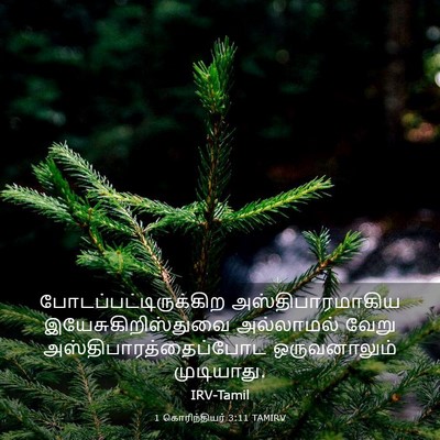 Picture 03 - 1 கொரிந்தியர் 3:11 TAMIRV -  - Bible Verse Picture