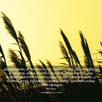 Picture 03 - 1 கொரிந்தியர் 3:13 TAMIRV - அவனவனுடைய - Bible Verse Picture
