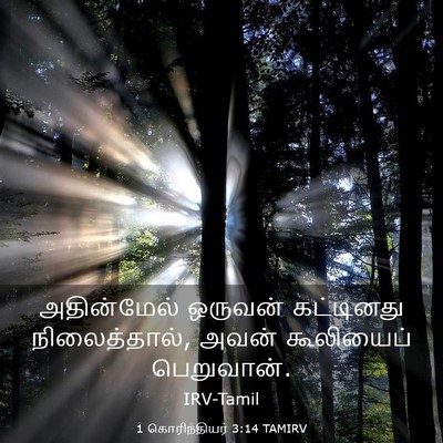 Picture 03 - 1 கொரிந்தியர் 3:14 TAMIRV - அதின்மேல் ஒருவன் - Bible Verse Picture