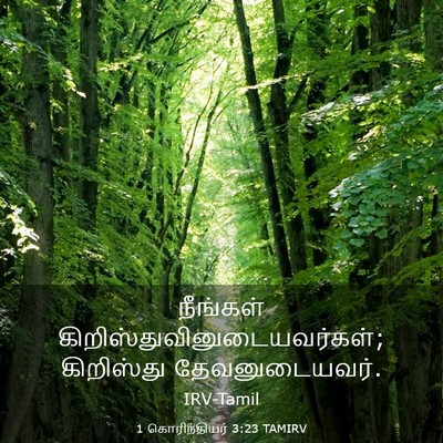Picture 03 - 1 கொரிந்தியர் 3:23 TAMIRV - நீங்கள் - Bible Verse Picture