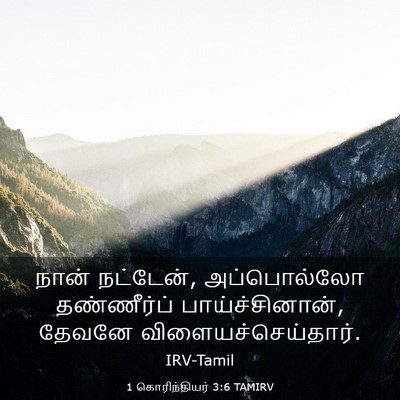 Picture 03 - 1 கொரிந்தியர் 3:6 TAMIRV - நான் நட்டேன், - Bible Verse Picture