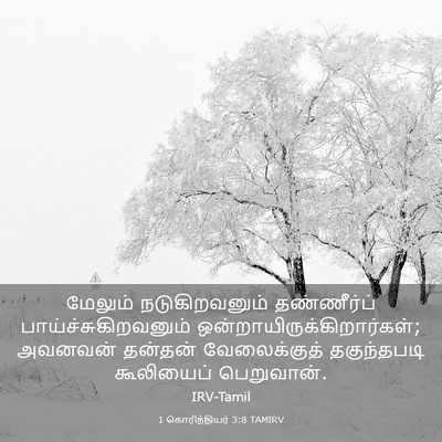 Picture 03 - 1 கொரிந்தியர் 3:8 TAMIRV - மேலும் - Bible Verse Picture