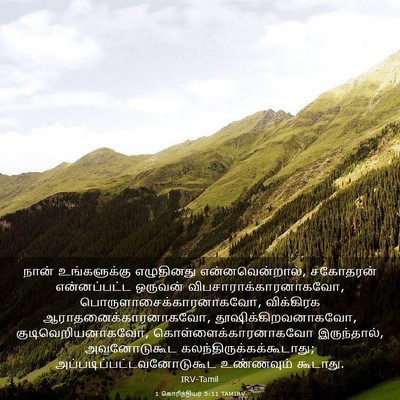 Picture 03 - 1 கொரிந்தியர் 5:11 TAMIRV - நான் உங்களுக்கு - Bible Verse Picture