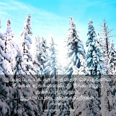Picture 03 - 1 கொரிந்தியர் 5:2 TAMIRV - இப்படிப்பட்டக் - Bible Verse Picture