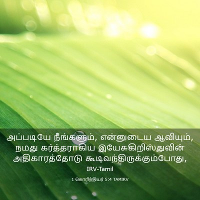 Picture 03 - 1 கொரிந்தியர் 5:4 TAMIRV - அப்படியே - Bible Verse Picture