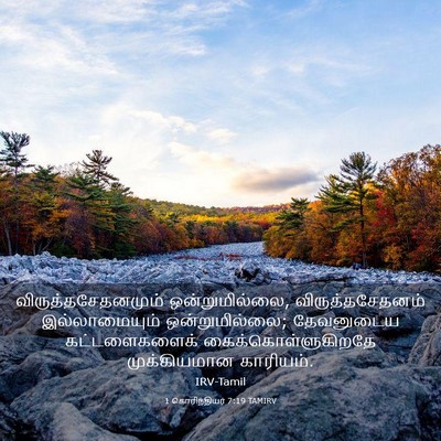 Picture 03 - 1 கொரிந்தியர் 7:19 TAMIRV - விருத்தசேதனமும் - Bible Verse Picture