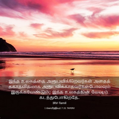 Picture 03 - 1 கொரிந்தியர் 7:31 TAMIRV - இந்த உலகத்தை - Bible Verse Picture