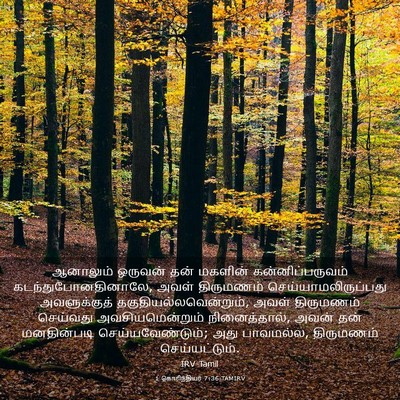 Picture 03 - 1 கொரிந்தியர் 7:36 TAMIRV - ஆனாலும் ஒருவன் - Bible Verse Picture