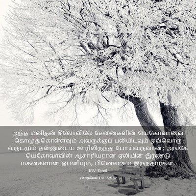 Picture 03 - 1 சாமுவேல் 1:3 TAMIRV - அந்த மனிதன் - Bible Verse Picture