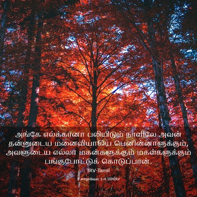 Picture 03 - 1 சாமுவேல் 1:4 TAMIRV - அங்கே எல்க்கானா - Bible Verse Picture