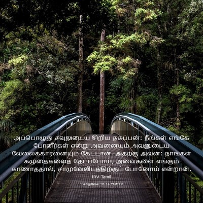 Picture 03 - 1 சாமுவேல் 10:14 TAMIRV - அப்பொழுது - Bible Verse Picture