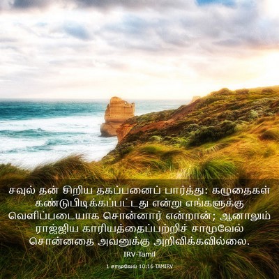 Picture 03 - 1 சாமுவேல் 10:16 TAMIRV - சவுல் தன் சிறிய - Bible Verse Picture
