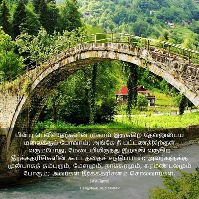 Picture 03 - 1 சாமுவேல் 10:5 TAMIRV - பின்பு - Bible Verse Picture