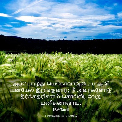 Picture 03 - 1 சாமுவேல் 10:6 TAMIRV - அப்பொழுது - Bible Verse Picture