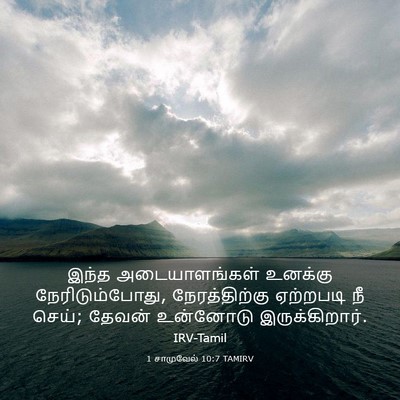 Picture 03 - 1 சாமுவேல் 10:7 TAMIRV - இந்த அடையாளங்கள் - Bible Verse Picture