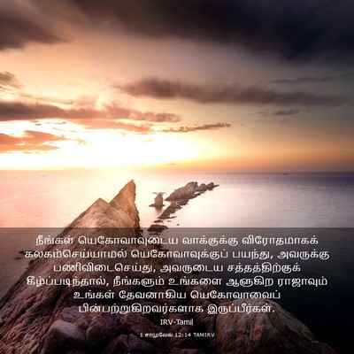 Picture 03 - 1 சாமுவேல் 12:14 TAMIRV - நீங்கள் - Bible Verse Picture