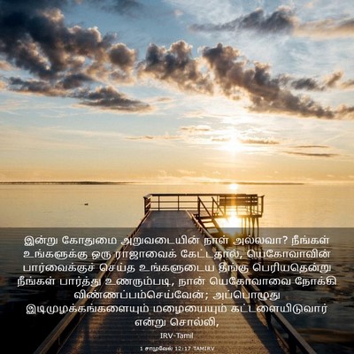 Picture 03 - 1 சாமுவேல் 12:17 TAMIRV - இன்று கோதுமை - Bible Verse Picture