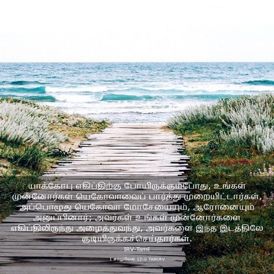 Picture 03 - 1 சாமுவேல் 12:8 TAMIRV - யாக்கோபு - Bible Verse Picture