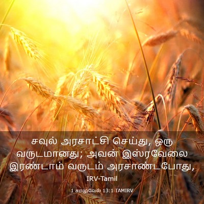 Picture 03 - 1 சாமுவேல் 13:1 TAMIRV - சவுல் அரசாட்சி - Bible Verse Picture