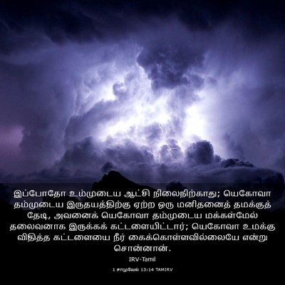 Picture 03 - 1 சாமுவேல் 13:14 TAMIRV - இப்போதோ உம்முடைய - Bible Verse Picture