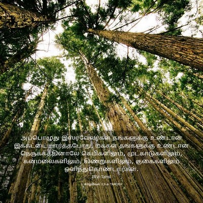 Picture 03 - 1 சாமுவேல் 13:6 TAMIRV - அப்பொழுது - Bible Verse Picture