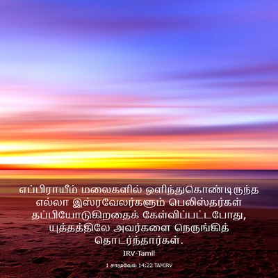 Picture 03 - 1 சாமுவேல் 14:22 TAMIRV - எப்பிராயீம் - Bible Verse Picture