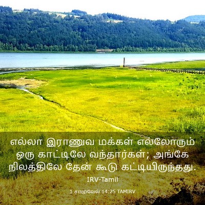 Picture 03 - 1 சாமுவேல் 14:25 TAMIRV - எல்லா இராணுவ - Bible Verse Picture