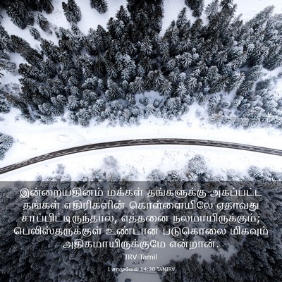 Picture 03 - 1 சாமுவேல் 14:30 TAMIRV - இன்றையதினம் - Bible Verse Picture