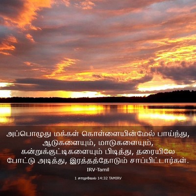 Picture 03 - 1 சாமுவேல் 14:32 TAMIRV - அப்பொழுது மக்கள் - Bible Verse Picture
