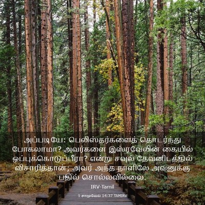 Picture 03 - 1 சாமுவேல் 14:37 TAMIRV - அப்படியே: - Bible Verse Picture