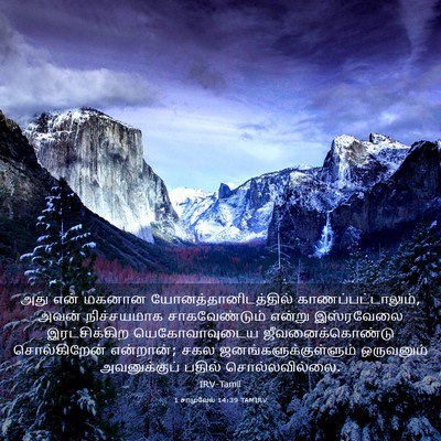 Picture 03 - 1 சாமுவேல் 14:39 TAMIRV - அது என் மகனான - Bible Verse Picture