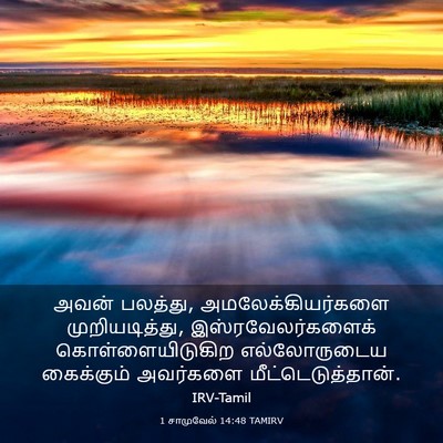 Picture 03 - 1 சாமுவேல் 14:48 TAMIRV - அவன் பலத்து, - Bible Verse Picture
