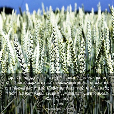 Picture 03 - 1 சாமுவேல் 15:24 TAMIRV - அப் பொழுது சவுல் - Bible Verse Picture