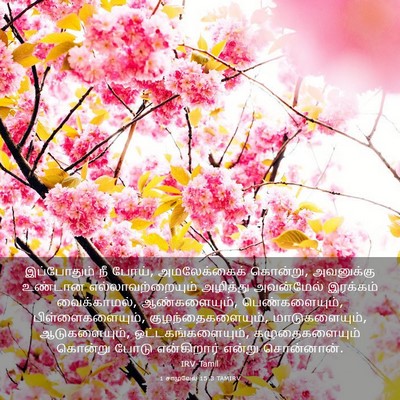 Picture 03 - 1 சாமுவேல் 15:3 TAMIRV - இப்போதும் நீ போய், - Bible Verse Picture