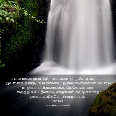 Picture 03 - 1 சாமுவேல் 15:35 TAMIRV - சவுல் மரணமடையும் - Bible Verse Picture